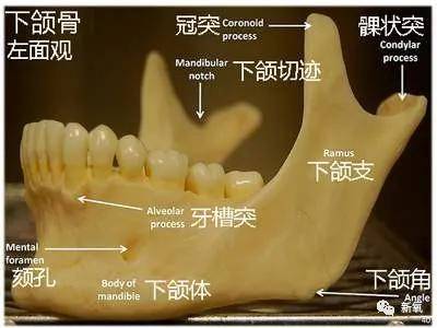 杨幂|年度最新换头思路来了！撞脸杨幂的她，生图怕是吊打所有女明星了...