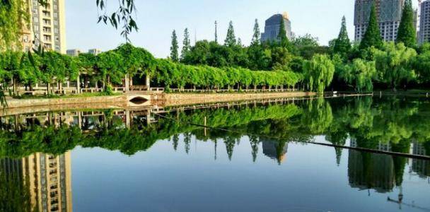 大学|我被一所985大学提前批录取了