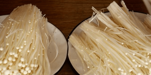 在家怎么养金针菇 f9478a1558a04edc8d4efa10e06f6896.png