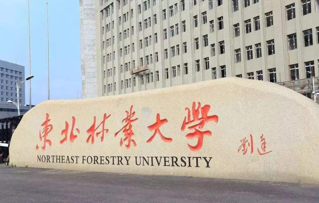 最好的|我国几所最好的林业大学到底值不值得读