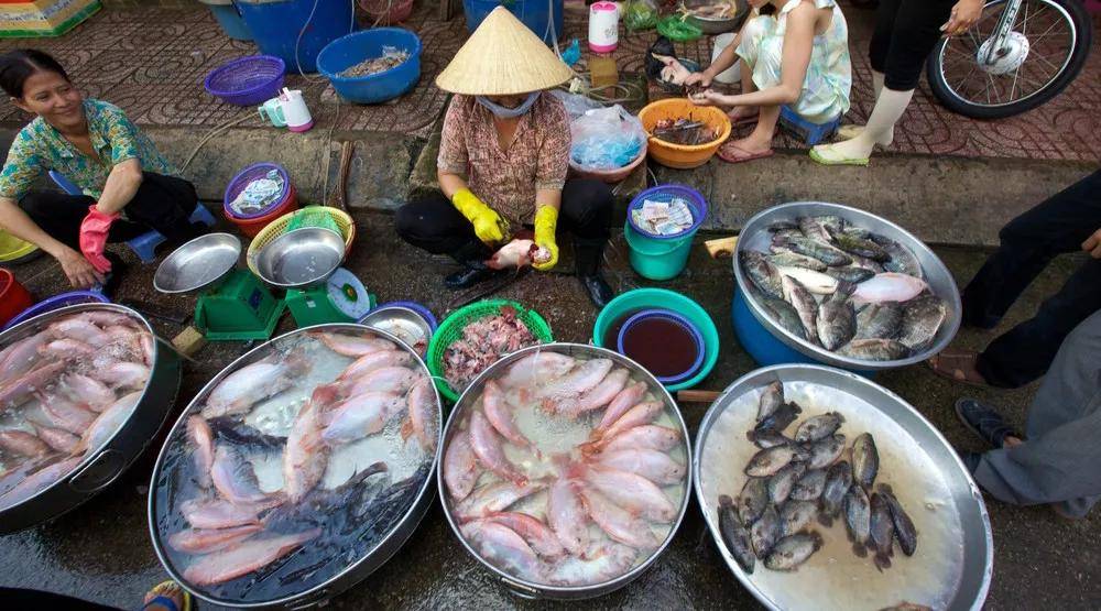 挑选海蜇的正确方法 87d23b5263b64a858f97bdd6397d982d.jpeg