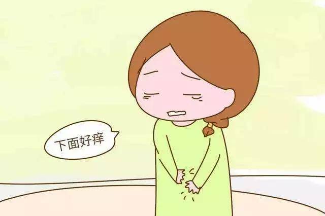 来自搜狐网