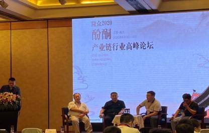 齐鲁石化公司gdp_公司logo设计(2)