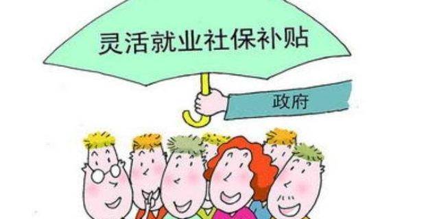 什么是社会保险补贴 9ba47945019244ff88bfc05cd17f5a15.jpeg
