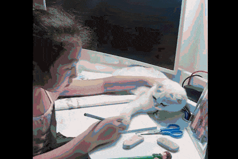 经验教程|留给你的时间不多啦！自制力差的同学很危险哦~