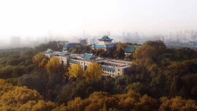 铜陵武汉人口_铜陵学院