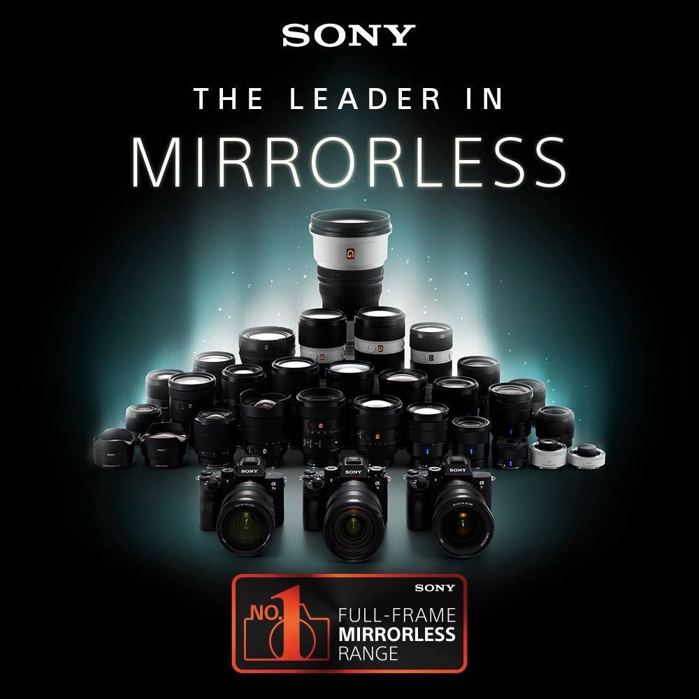 佳能排行_相机王公布2020年无反相机销售排行榜