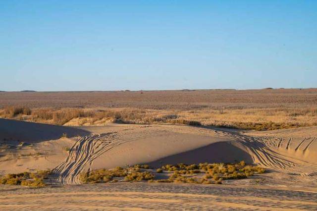 原创西北的大漠戈壁还藏着一个风景极美的湿地公园，知道的人极少！