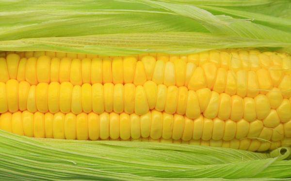 原创玉米“碰”上它,堪比天然胰岛素,常吃血糖稳定,血管越来越健康 原创玉米“碰”上它,堪比天然胰岛素,常吃血糖稳定,血管越来越健康