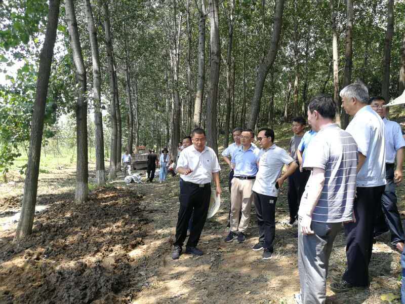 沭阳县梦溪街道人口_沭阳县沭城街道潘玉明(3)