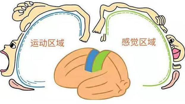 e0ea469910f84a76ad01838a31e794f6.jpeg