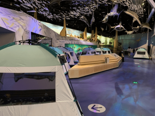 视频|博物馆奇妙夜，真的很帅！