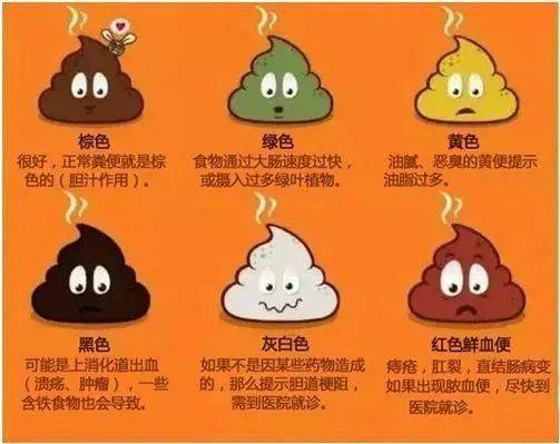 什么时候大便最健康 44e7fcaae5a04e97af476a1c3f7cff24.jpeg