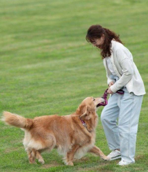 服装|还不清楚周海媚为何53岁无人娶？看她穿稚嫩装后，答案一清二楚了