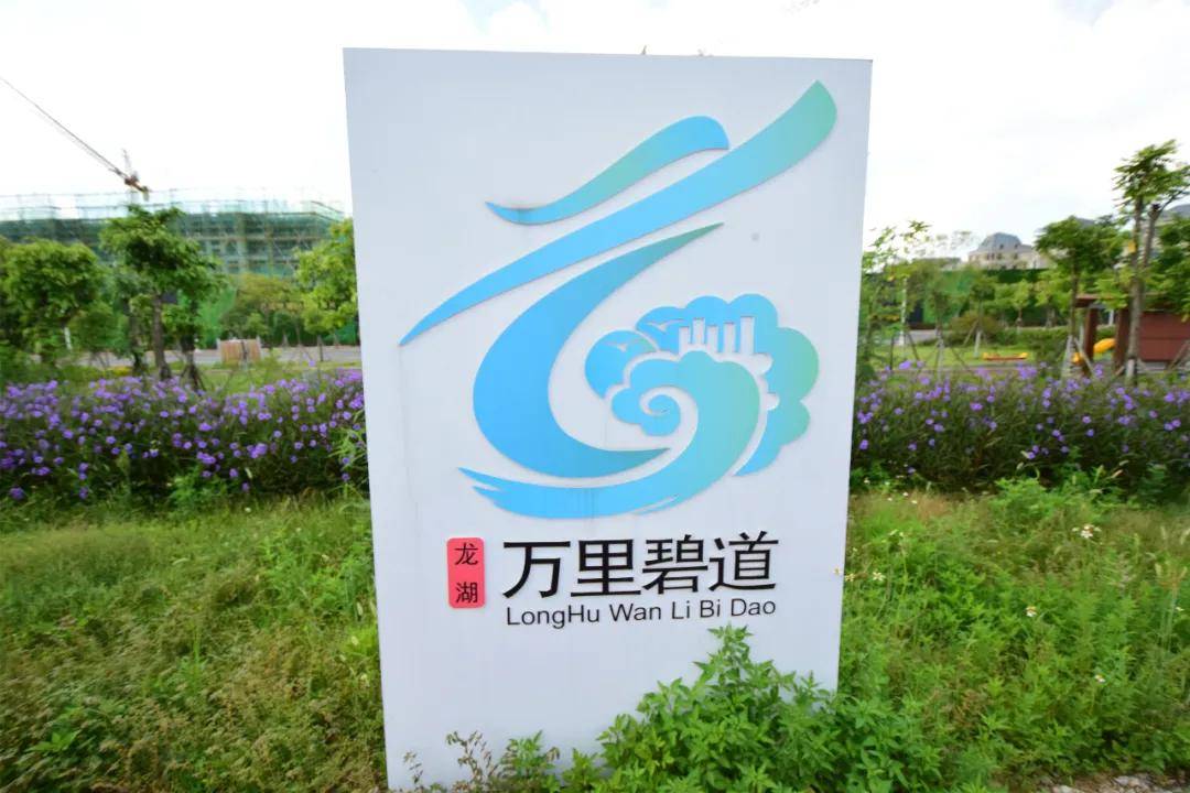 【视察调研】人民美好生活好去处 龙湖区政协视察龙湖区"万里碧道"