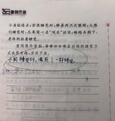 原创当代小学生的暑假作业，能有多沙雕敷衍？哈哈给气炸了！