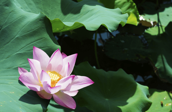 山东省2020年1季度淄_山东省2020年美术速写