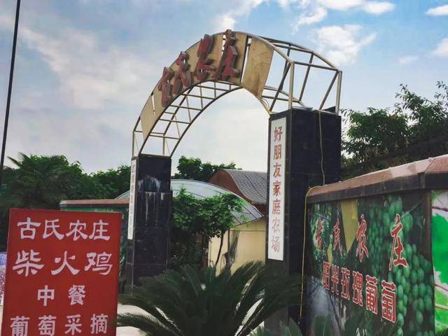 农家乐推荐Kaiyun 开云体育丨暑期进入尾声再不耍就没时间啦！(图11)