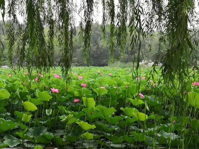 竞争力|如何提高公务员考试中的竞争力？