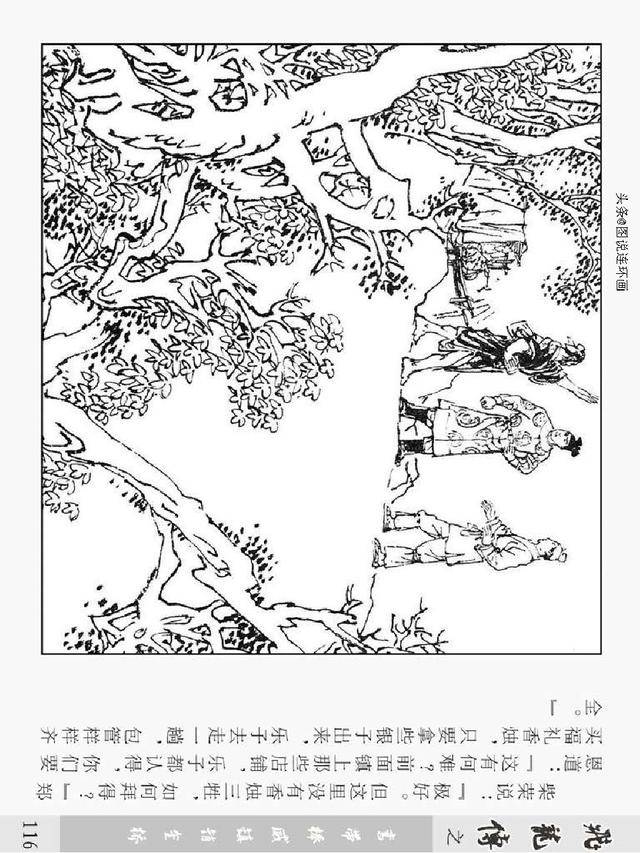 飞龙 人口_钢铁飞龙(3)