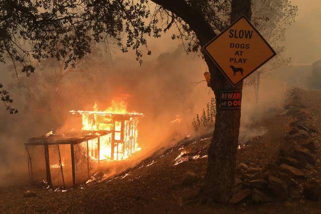 加州因大火进入紧急状态 诸多酒厂葡萄园受威胁