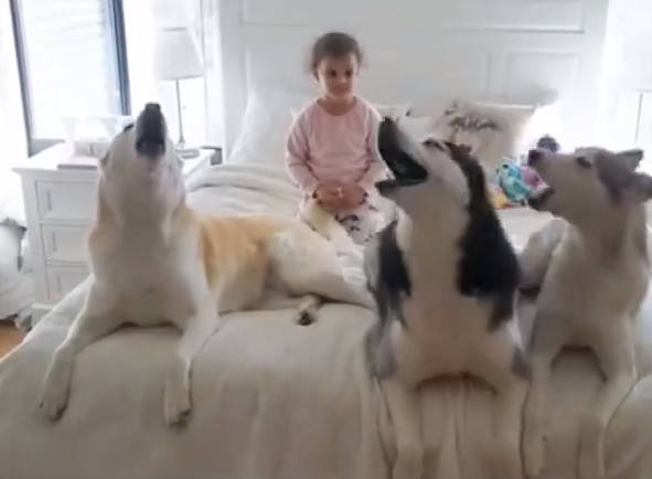 一张床一个女孩斗牛猜成语_黄渤斗牛图片(2)