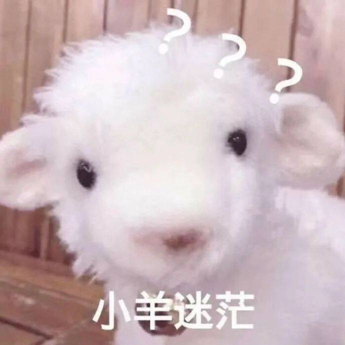 可爱表情包拿图片:可可爱爱,又是快乐的一天