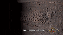 美人鱼|美人鱼“游”进古墓里，今晚听《故事》为你娓娓道来