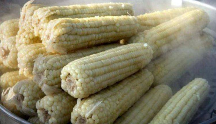 蜂蜜|美容养颜、滋润肌肤,早吃早健康!适合秋天吃的3种食物