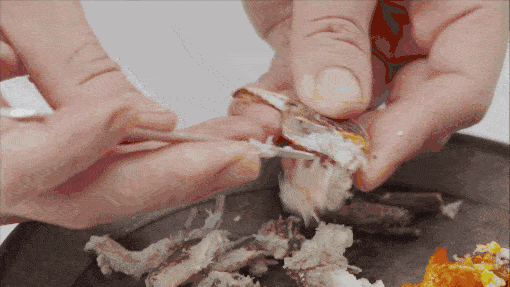 62a3d70db9cc4eb8977c97b5d58d268d.gif