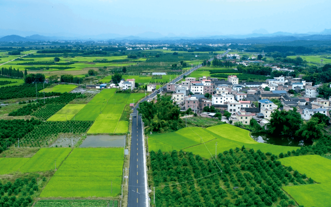 广东仁化:"四好农村路"成乡村振兴路