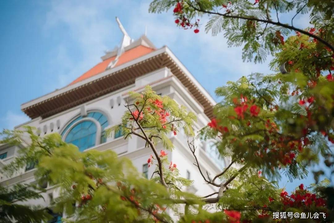 河南|志愿未被录取怎么办？厦门大学、中国农大多所985高校可补报录取