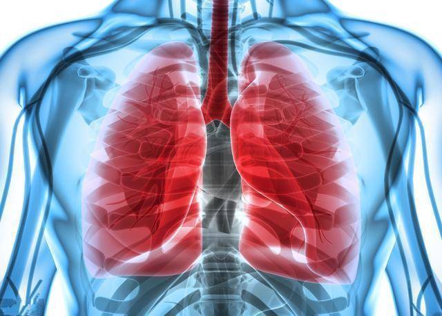 fe84e26ea00949bd9a0d2b65398e84d3.jpeg