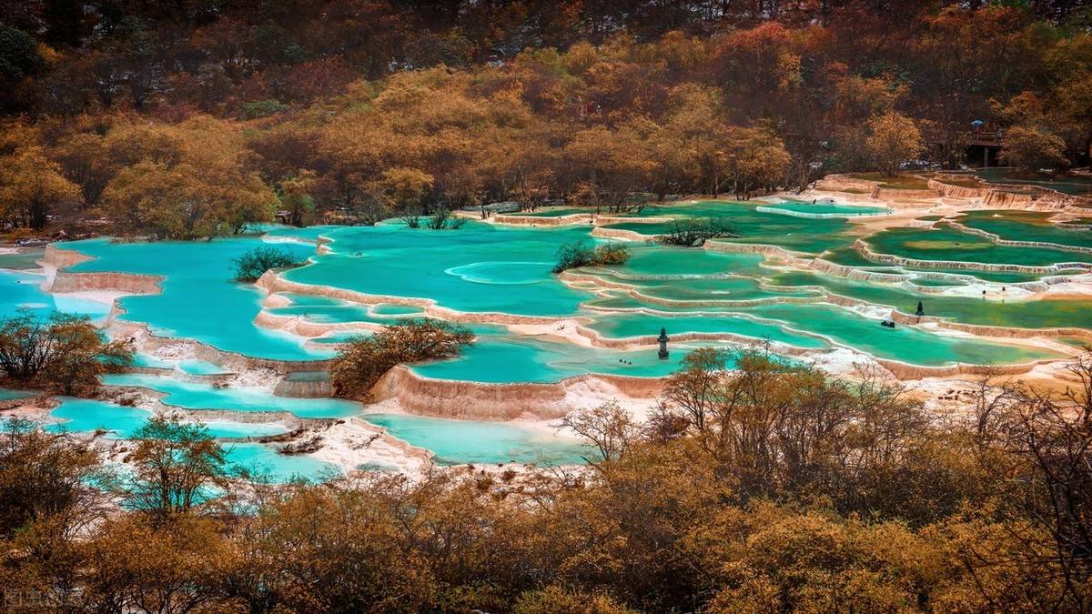文章配图-10