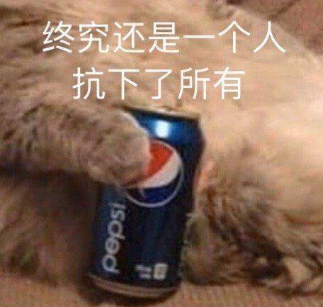 热门表情包拿图片:看着成双的,一个人也要坚强