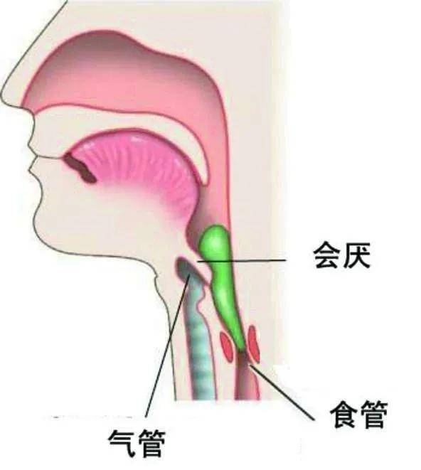 孩子|却意外跌跤后脑死亡...男童一岁生日前学走路