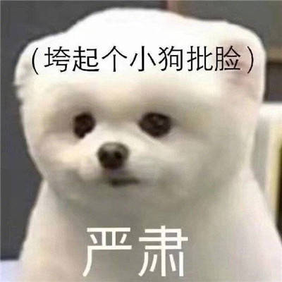 狗狗沙雕表情包