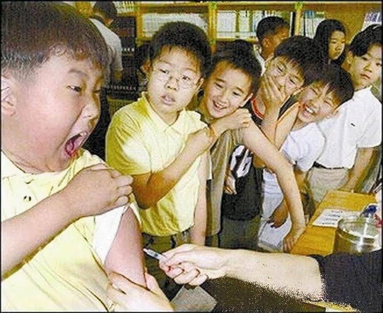 头发|娜扎消失的头发全回来了…这方法比鞠婧祎还高明！