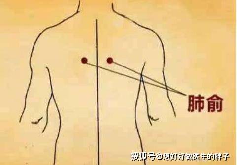 做什么运动能让肺部健康 46afd77d5d904cfeab970db5178beff1.jpeg