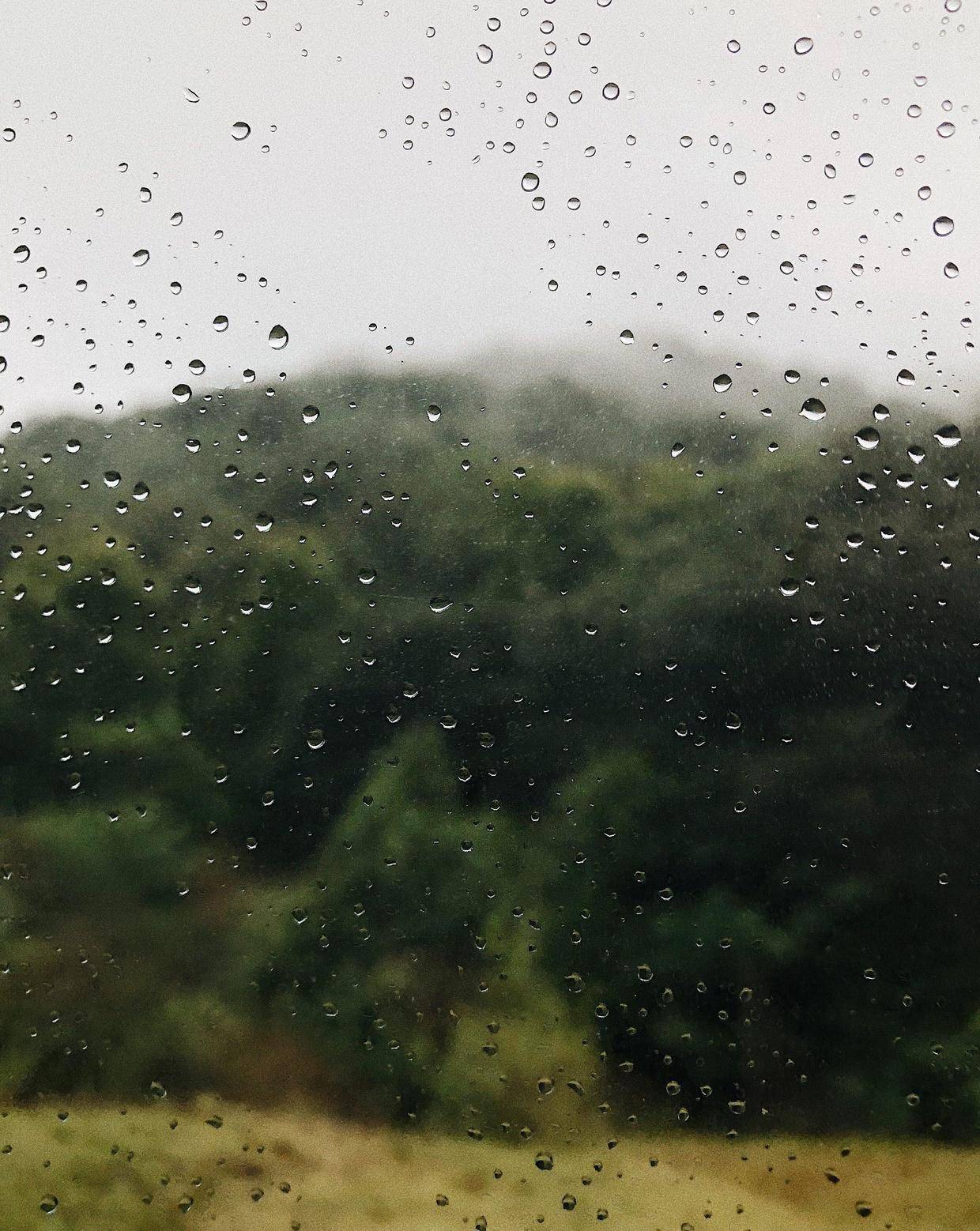 回复关键字"一个雨天"公子找的这组图片呢都尽量避开那些比较明显的