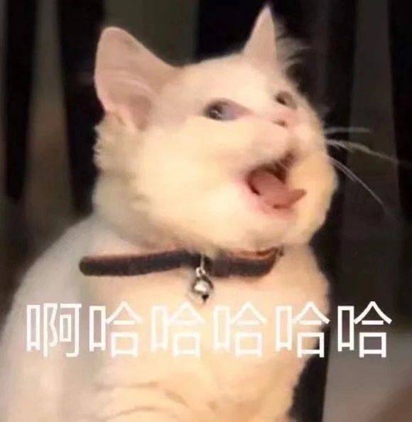 搞笑表情包图片:让我康康,不让看就哭给你看