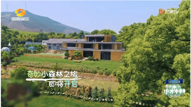 森林|安利一档清新自然的综艺《奇妙小森林》