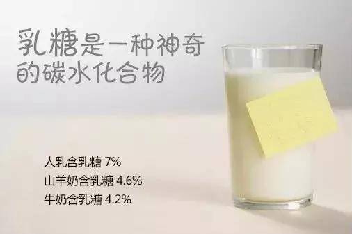 乳糖|从不吃糖的宝宝依然满口烂牙？小心奶粉里的“坏糖”在作祟