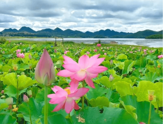 云南打卡圣地文山州浴仙湖风景区,如画的风景,让人流连忘返!