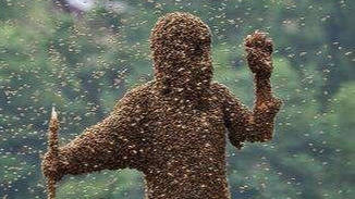 c16eea304e164ea6a084f0b74548c217.jpeg