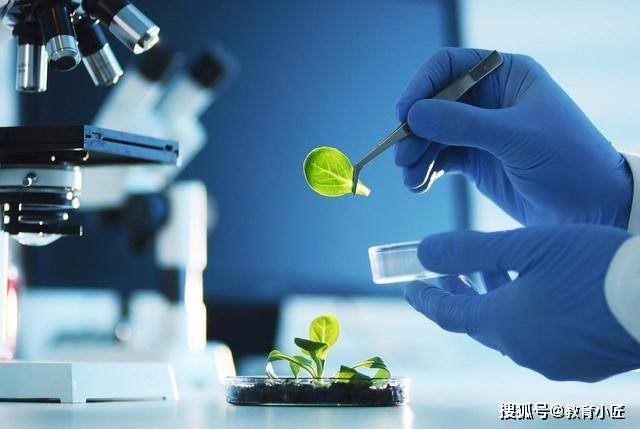 什么是基础性工程 f8c89f4d72a24bbf93dd67534255ef56.jpeg