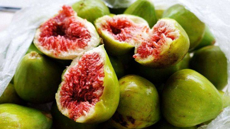 无花果的种植与管理 视频 6113cbe65dac490abd43159071cc2051.jpeg