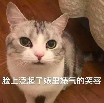 搞笑表情包图片:脸上露出了,谜一样的笑容