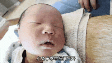 孩子|柴犬带娃困到打瞌睡，狗：谁才是亲妈啊女主人生了孩子