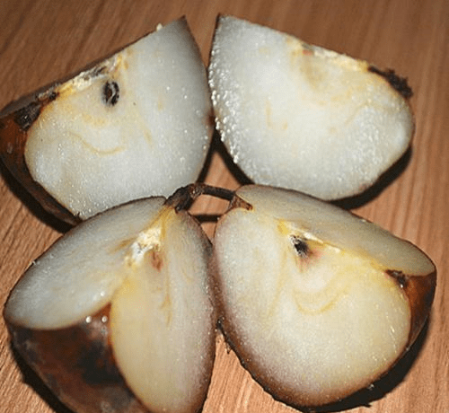 a9598ab6f17e4df7bf5928061bfdc3d9.png